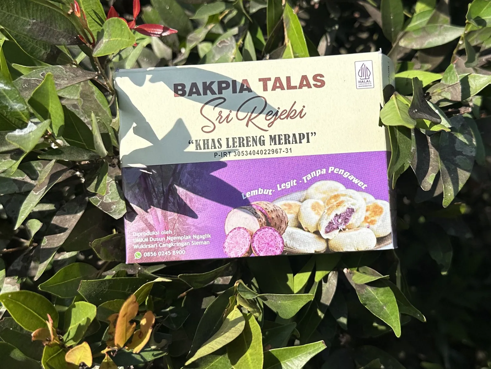 Box Bakpia Talas Sri Rejeki di antara dedaunan